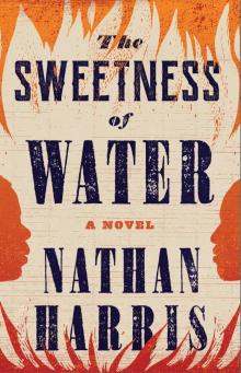 The Sweetness of Water The Sweetness of Water