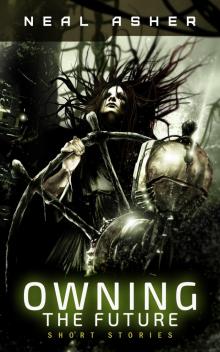 Owning the Future: Short Stories