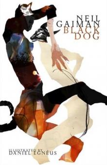 American Gods 1.2: Black Dog