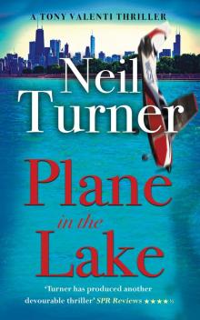 Plane in the Lake Plane in the Lake