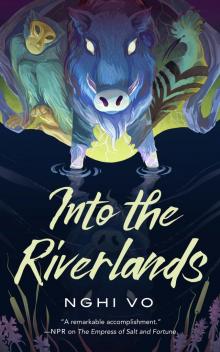 Into the Riverlands: the Singing Hills Cycle Series, Book 3