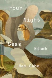 Four Night Seas Four Night Seas