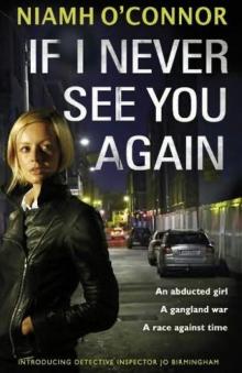 If I Never See You Again
