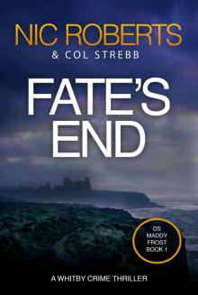 Fate's End (DS Maddy Frost Book 1): A Whitby Crime Thriller
