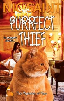 Purrfect Thief