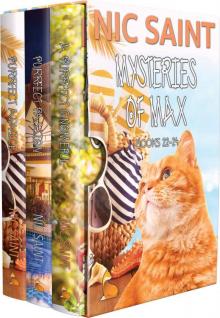 The Mysteries of Max: Books 22-24 (The Mysteries of Max Box Sets Book 8)