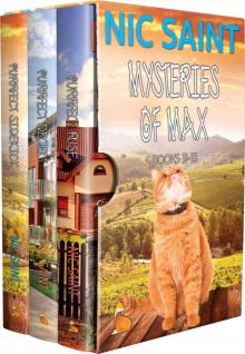 The Mysteries of Max: Books 31-33 The Mysteries of Max: Books 31-33