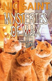 The Mysteries of Max: Books 43-45 The Mysteries of Max: Books 43-45