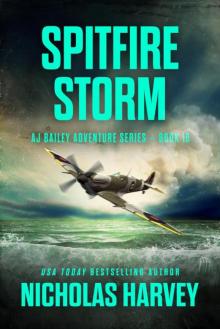 Spitfire Storm: AJ Bailey Adventure Series - Book Sixteen