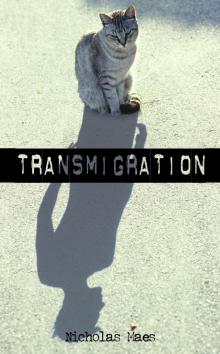 Transmigration Transmigration