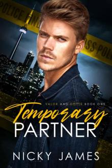 Temporary Partner (Valor and Doyle Book 1)