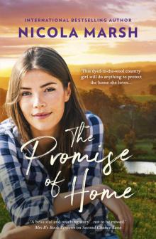 The Promise of Home The Promise of Home