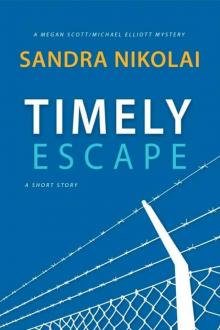 Megan Scott-Michael Elliott Mystery 2.5-Timely Escape