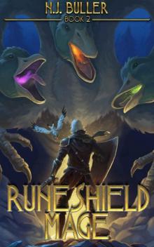 Runeshield Mage 2