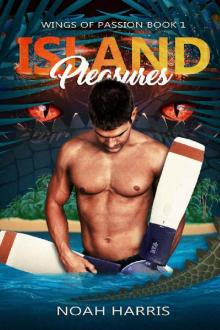 Island Pleasures (Wings of Passion Book 1)