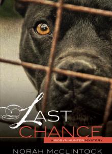 Last Chance Last Chance