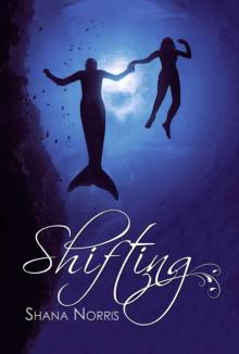 Shifting (Swans Landing) Shifting (Swans Landing)