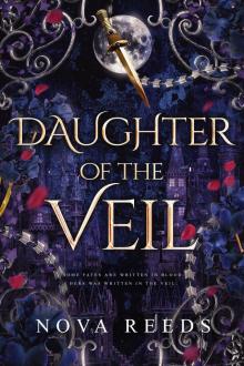 Daughter of the Veil: A Fantasy Romance