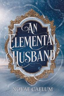 An Elemental Husband An Elemental Husband