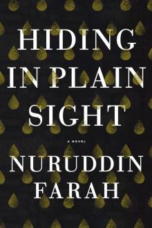 Hiding in Plain Sight Hiding in Plain Sight