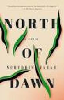 North of Dawn North of Dawn