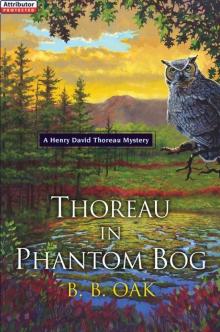 Thoreau in Phantom Bog