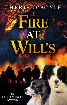Fire at Will's (An Estela Nogales Mystery Book 1)
