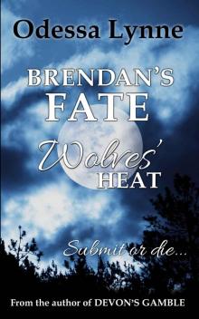 Brendan's Fate (Wolves' Heat)