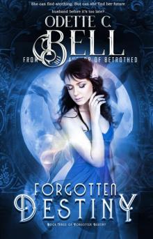 Forgotten Destiny 3