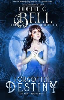 Forgotten Destiny 4
