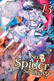 So I’m a Spider, So What?, Vol. 13