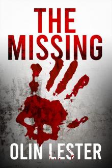 The Missing (Mecklenburg Book 1)