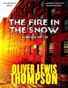 The Fire In the Snow