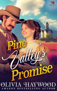 Pine Valley's Promise: A Christian Historical Romance Book