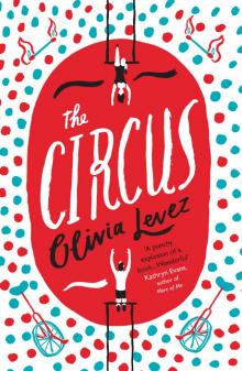 The Circus The Circus