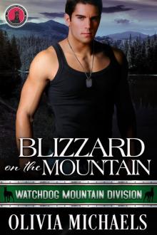 Blizzard on the Mountain: Watchdog Mountain Division Book 4