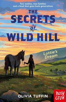 The Secrets of Wild Hill The Secrets of Wild Hill