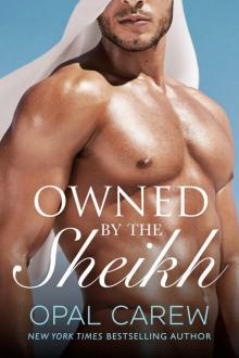 Owned by the Sheikh: An Erotic Romance Collection