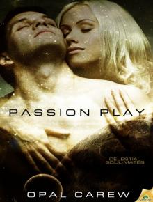 Passion Play: Celestial Soul-Mates, Book 3