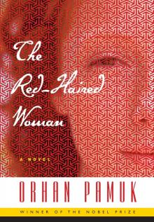 The Red-Haired Woman The Red-Haired Woman