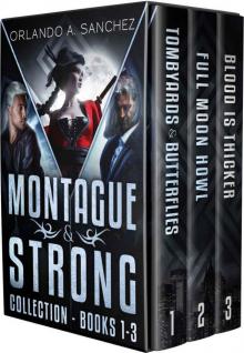 Montague & Strong Detective Novels Box Set: Montague & Strong Detective Novels Books, 1 through 3 (Montague & Strong Case Files) Montague & Strong Detective Novels Box Set: Montague & Strong Detective Novels Books, 1 through 3 (Montague & Strong Case Files)
