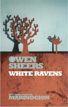White Ravens