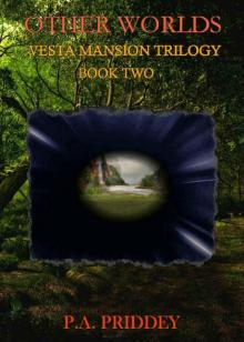 Other Worlds: Vesta Mansion Trilogy - Book Two - Fantasy