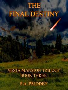 The Final Destiny: Vesta Mansion Trilogy - Book Three - Fantasy