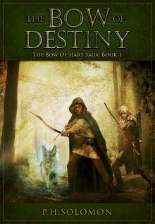 The Bow of Destiny The Bow of Destiny