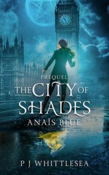 The City of Shades The City of Shades