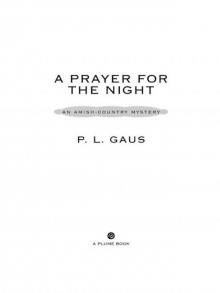A Prayer for the Night
