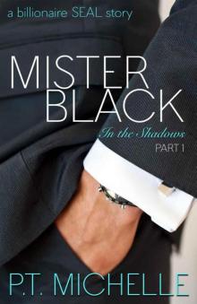 Mister Black: A Billionaire SEAL Story, Part 1 (In the Shadows)