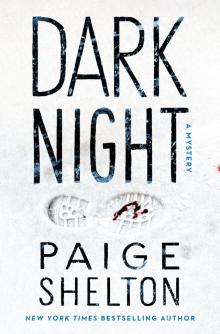 Dark Night--A Mystery Dark Night--A Mystery
