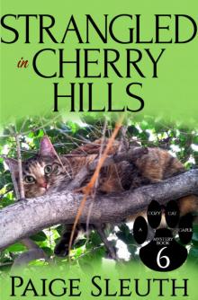 Strangled in Cherry Hills